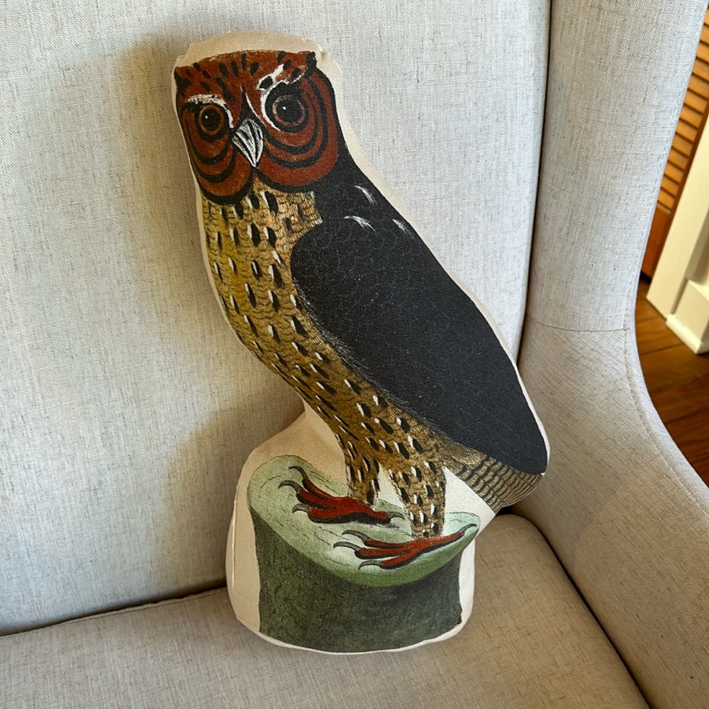 John Derian for Threshold Barn Owl Throw Pillow